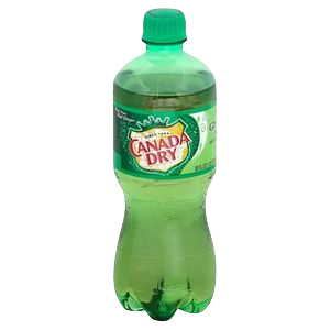 Canada Dry Ginger Ale 20oz/24ct